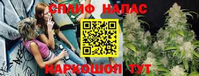 дурь Бийск
