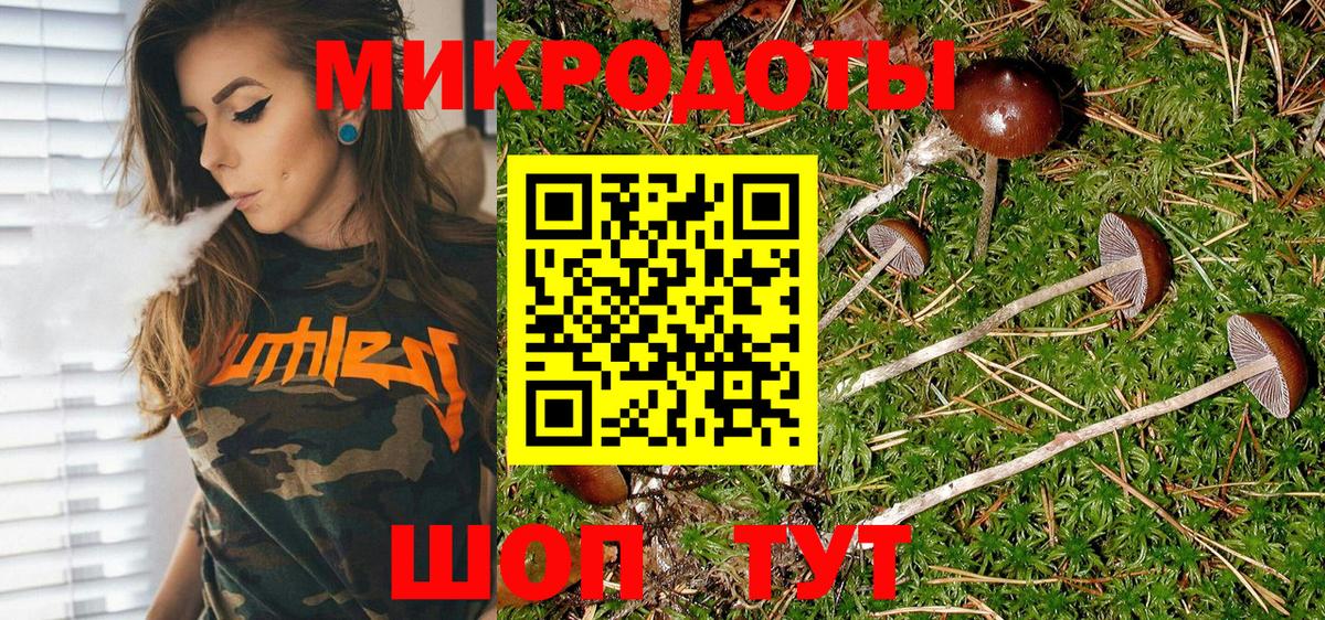 Иваново  Псилоцибиновые грибы ЛСД  Вход с VPN  Галлюциногенные грибы ЛСД 