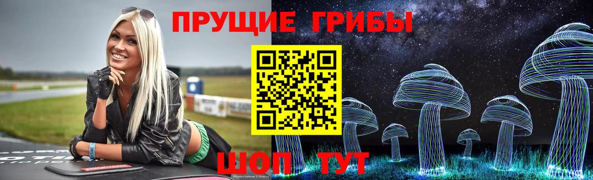 Галлюциногенные грибы Psilocybe Иваново